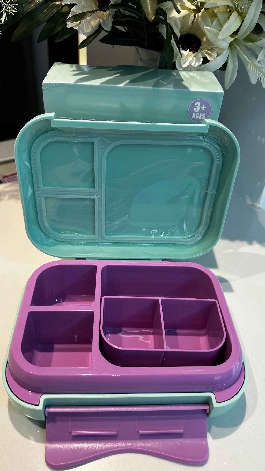 Bento Lunch Box (1200ml | 22.6 x 17.6 x 7 cm)