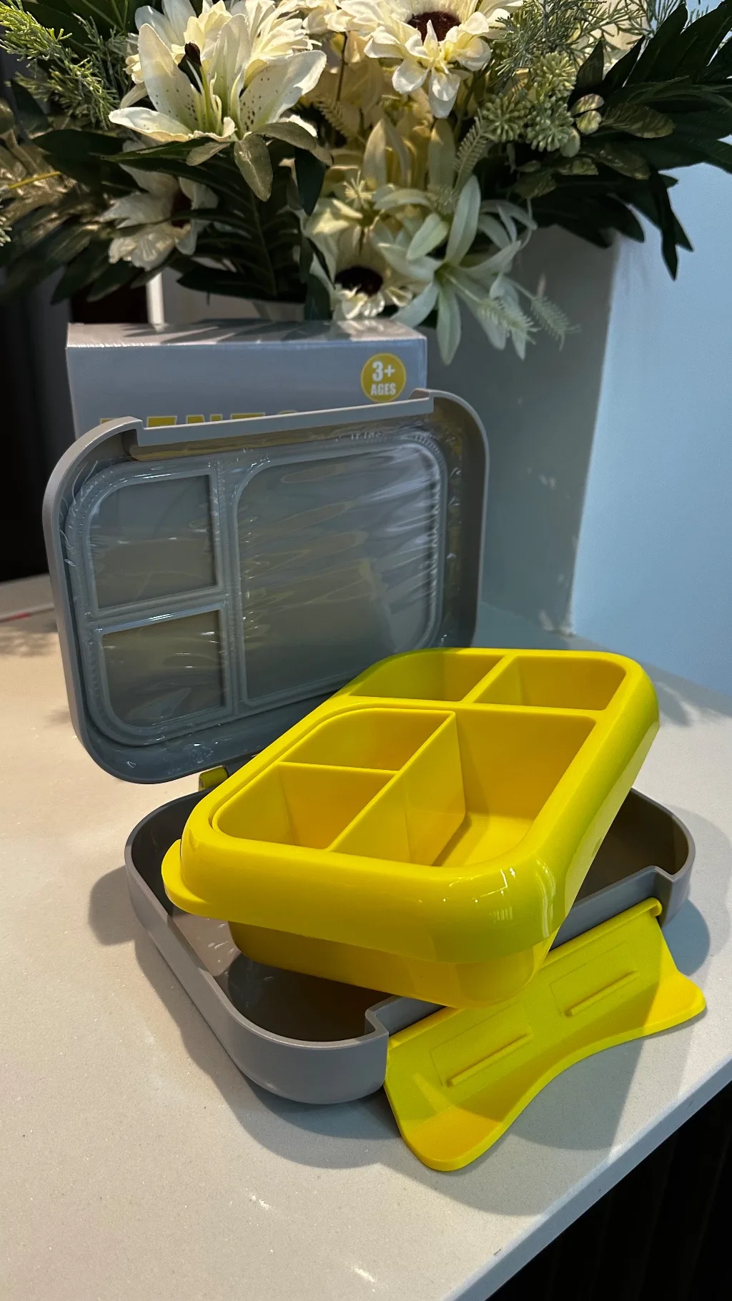 Bento Lunch Box (1200ml | 22.6 x 17.6 x 7 cm)