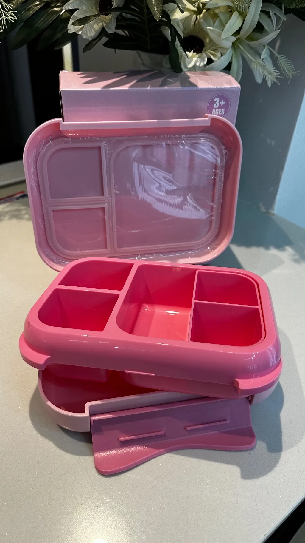 Bento Lunch Box (1200ml | 22.6 x 17.6 x 7 cm)