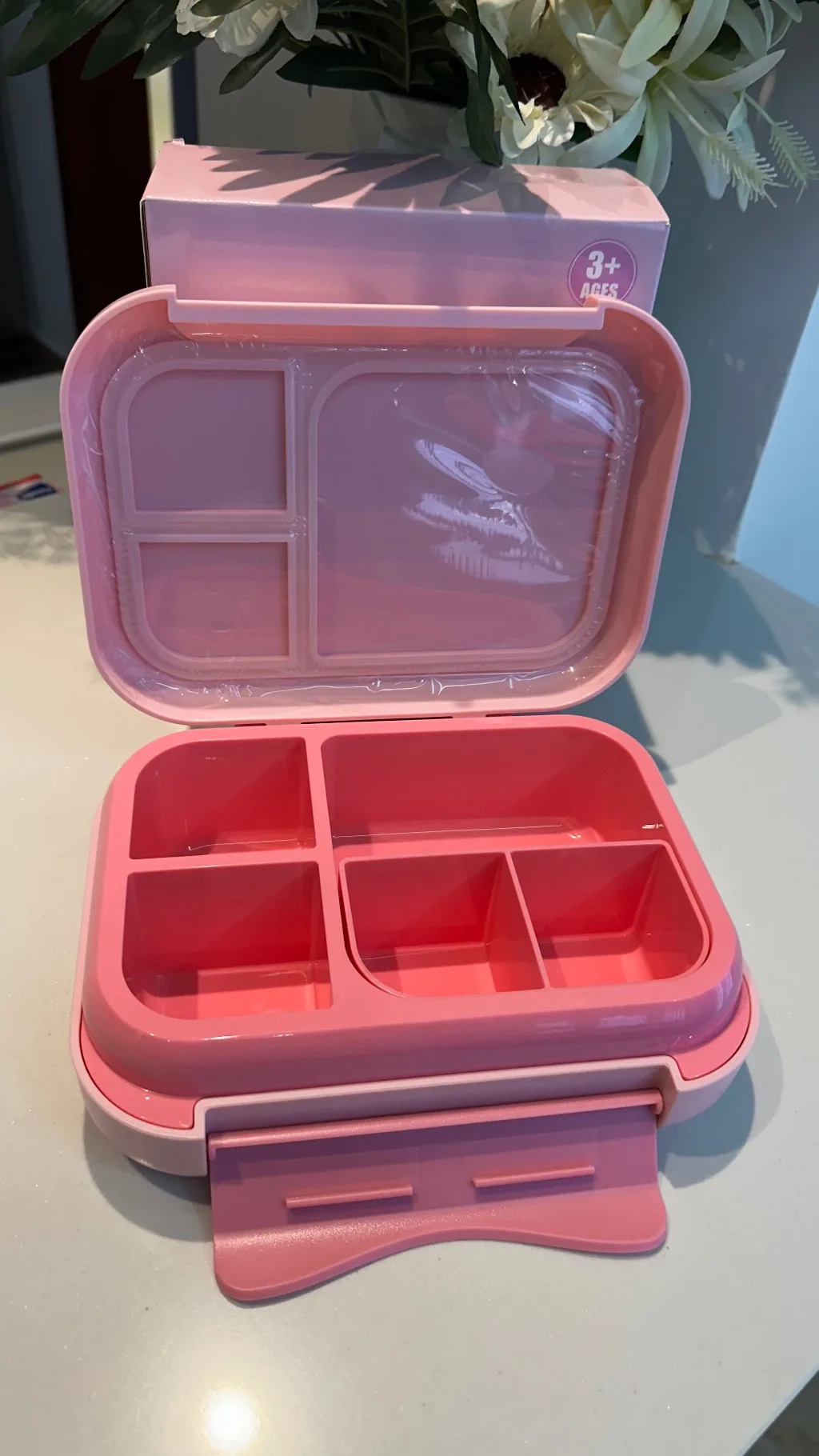 Bento Lunch Box (1200ml | 22.6 x 17.6 x 7 cm)