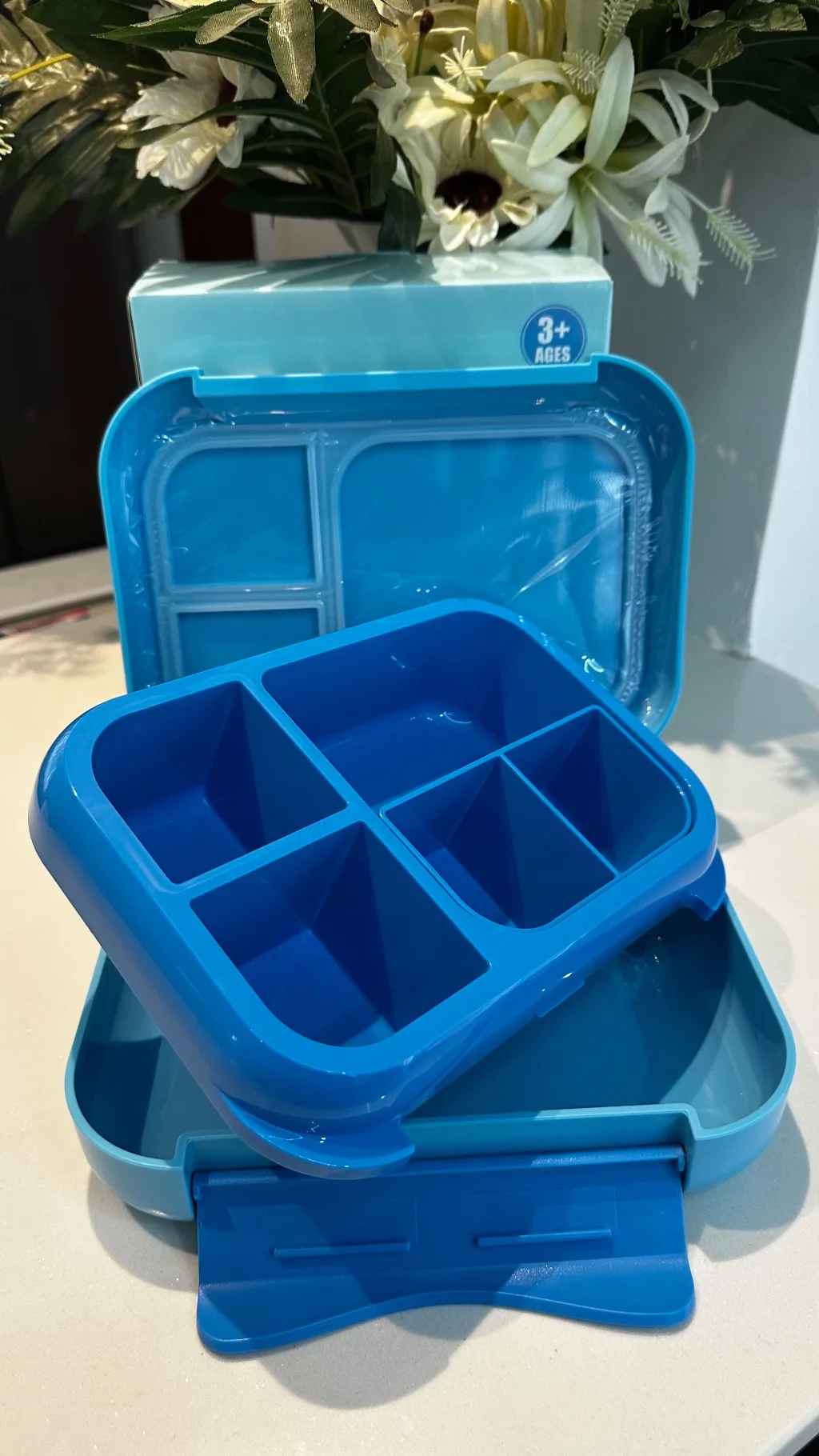 Bento Lunch Box (1200ml | 22.6 x 17.6 x 7 cm)