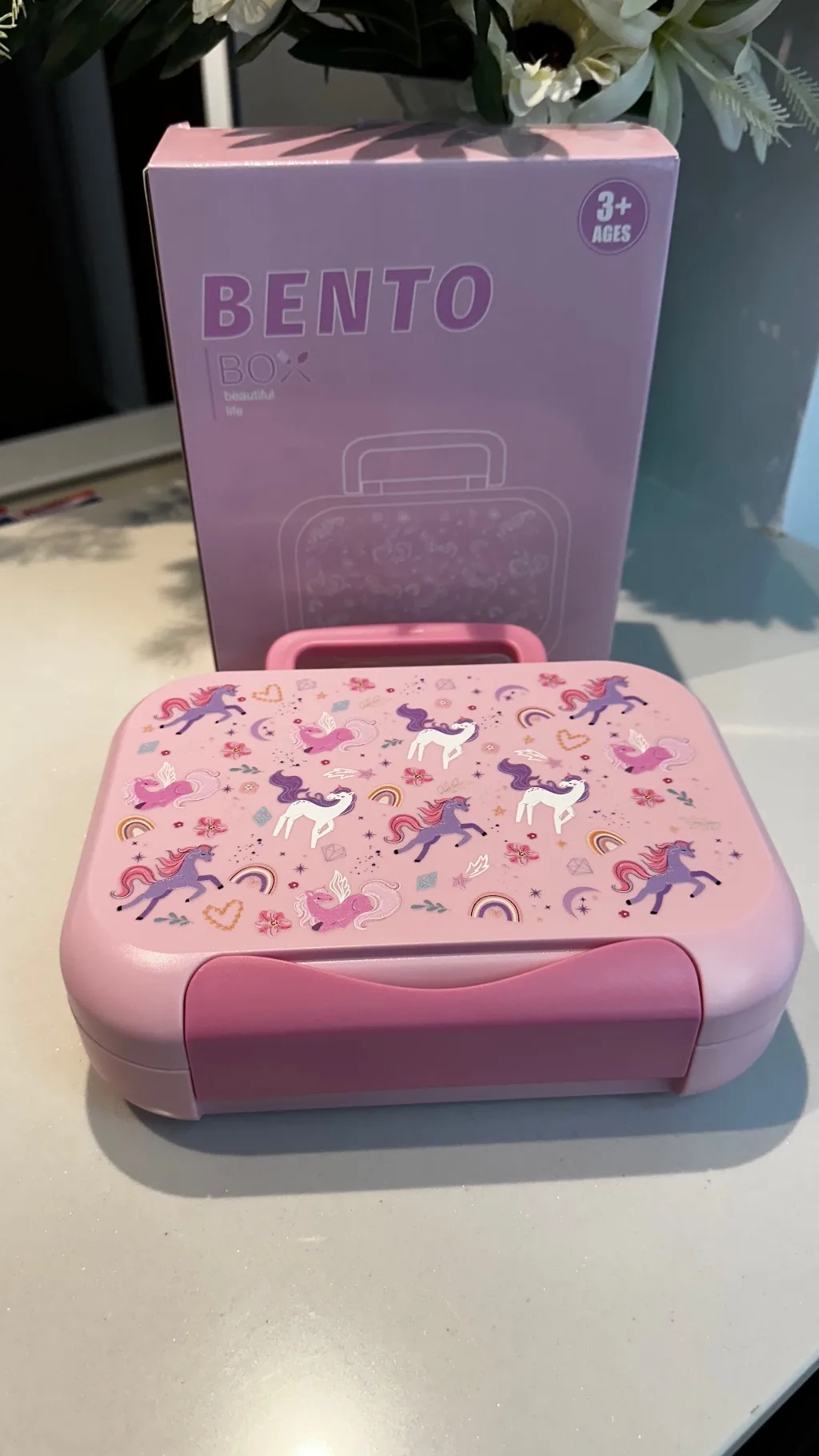 Bento Lunch Box (1200ml | 22.6 x 17.6 x 7 cm)