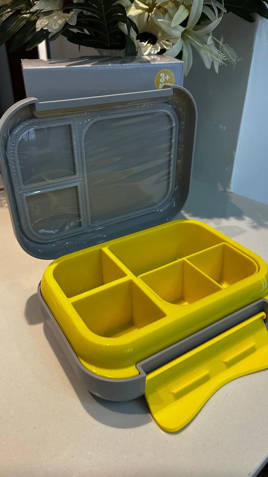 Bento Lunch Box (1200ml | 22.6 x 17.6 x 7 cm)