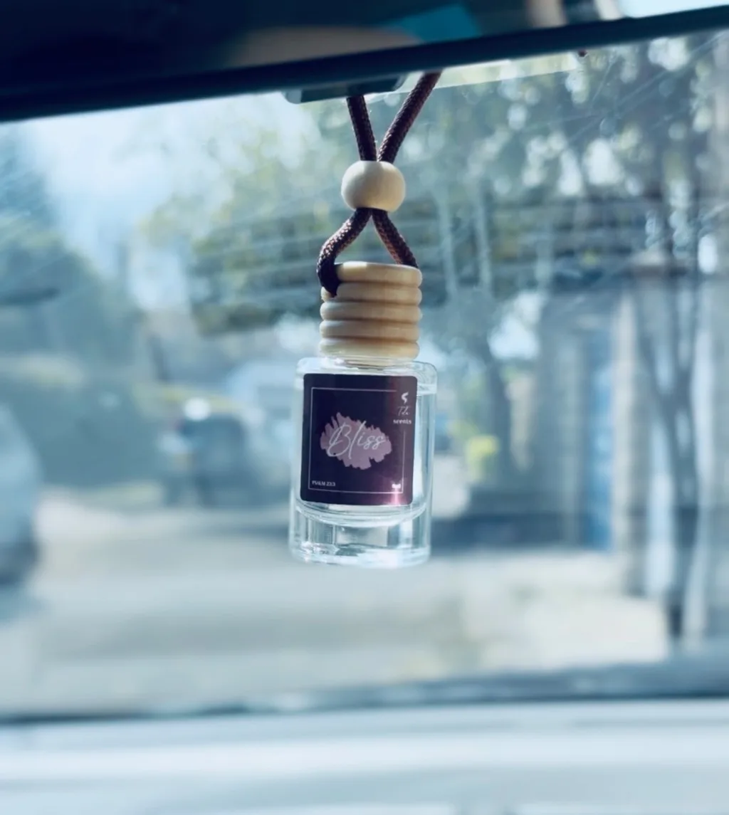 Tula Bliss Car Diffuser
