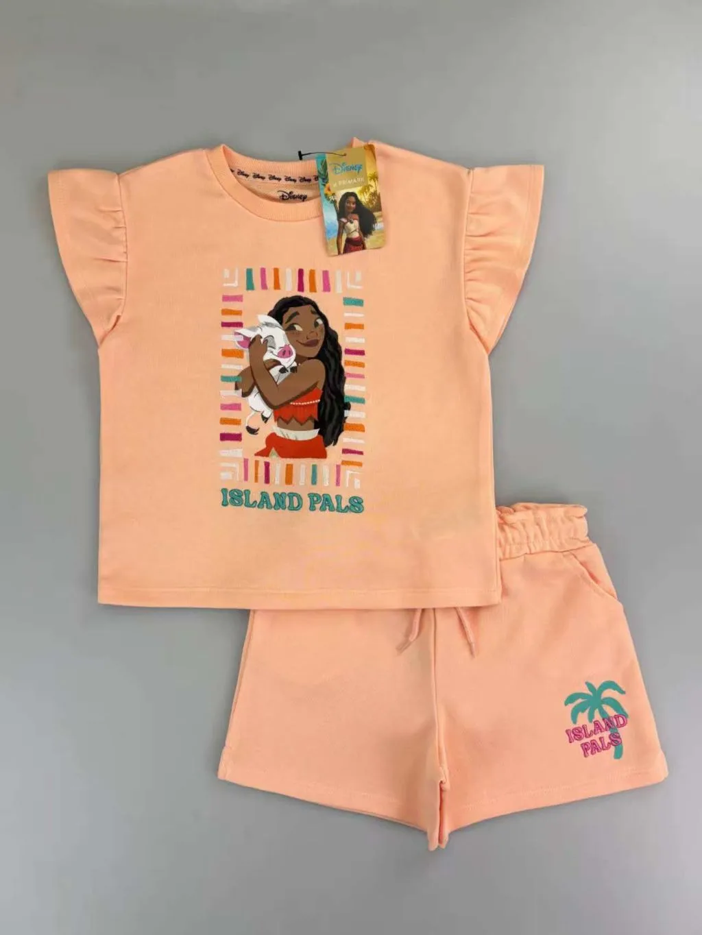2-Piece Ruffle Sleeve Top and Shorts Set