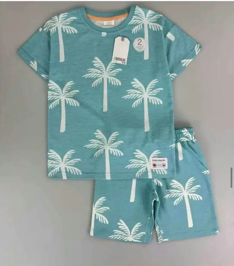 Shirt and Shorts 2-Piece Set