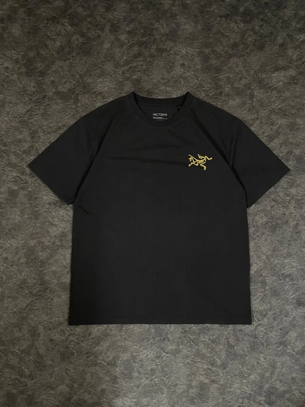 Arc’ teryx T shirt