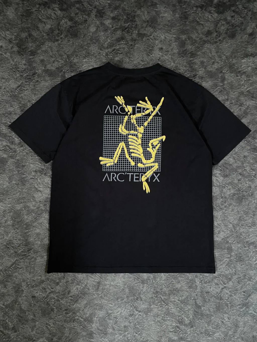 Arc’ teryx T shirt