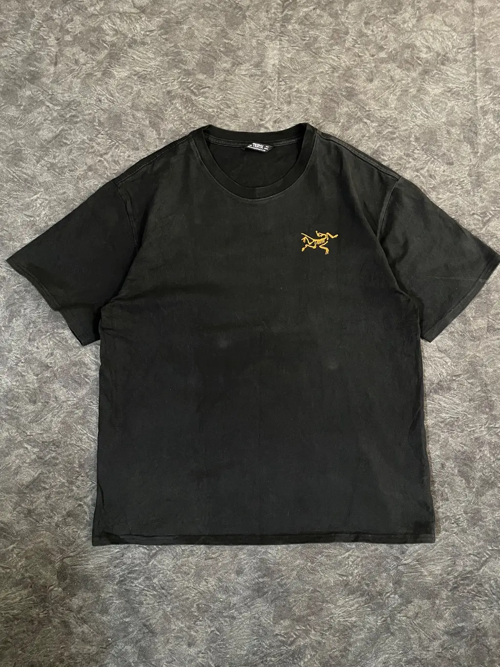 Arc’ teryx T shirt