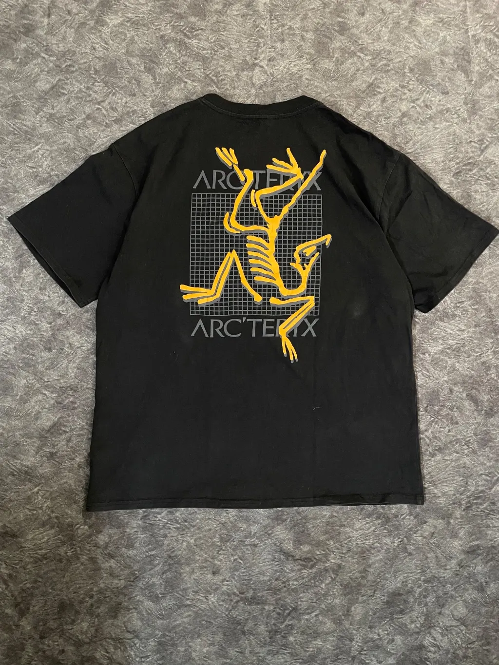 Arc’ teryx T shirt