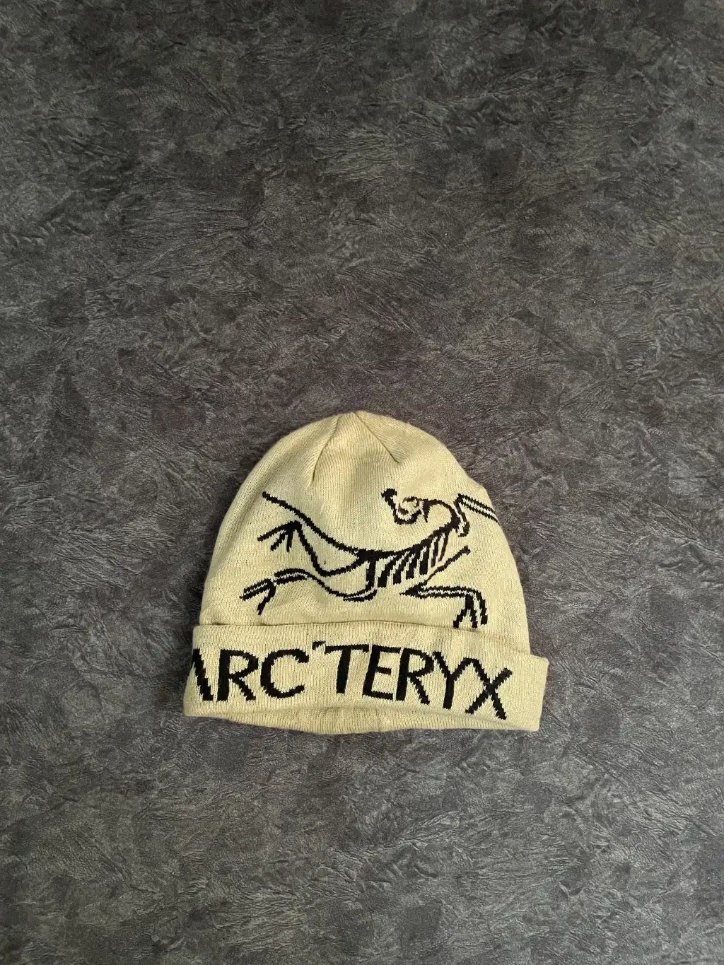Arc’ teryx beanie